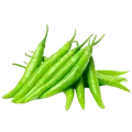 কাঁচামরিচ