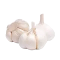 রসুন (আমদানি)