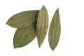তেজপাতা
