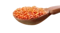 মশুর ডাল (মাঝারী দানা)