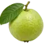 পেয়ারা
