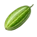 পটল