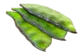 শিম